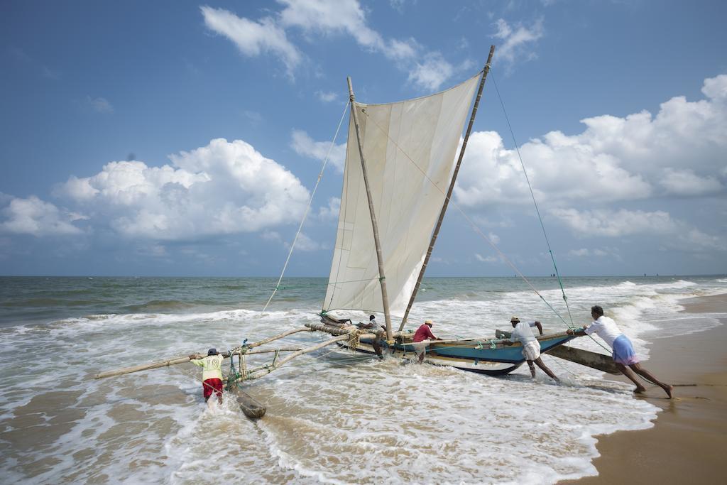 The अपार्टमेंट Negombo